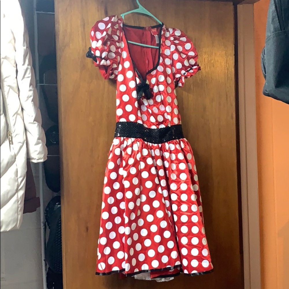 Minnie Mouse Costume